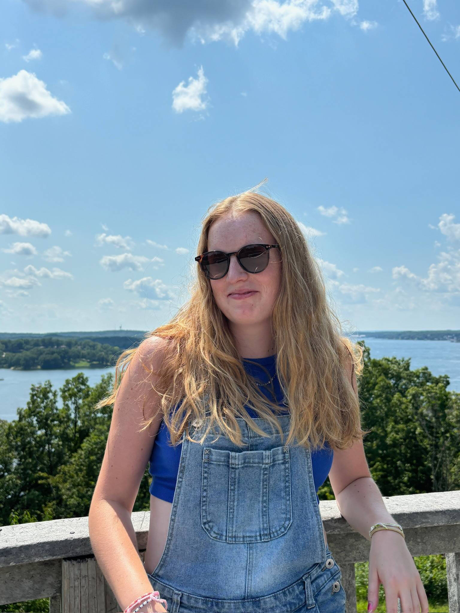 Undergraduate Consultant Meredith S.